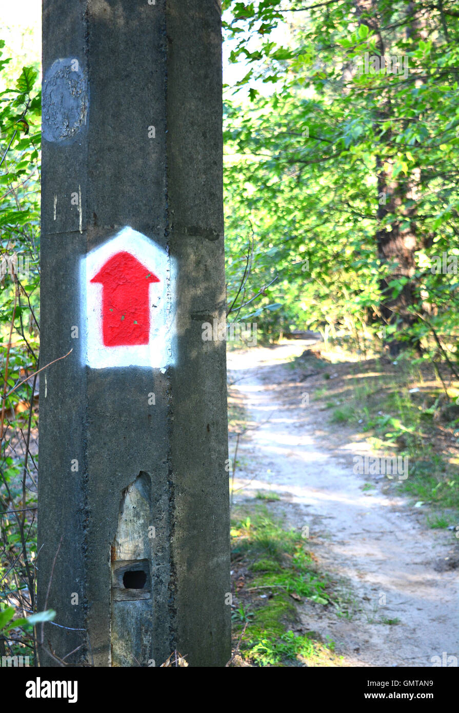 Der rote Pfeilzeiger der Radweg in den Wald. Der Trail Route. Stockfoto