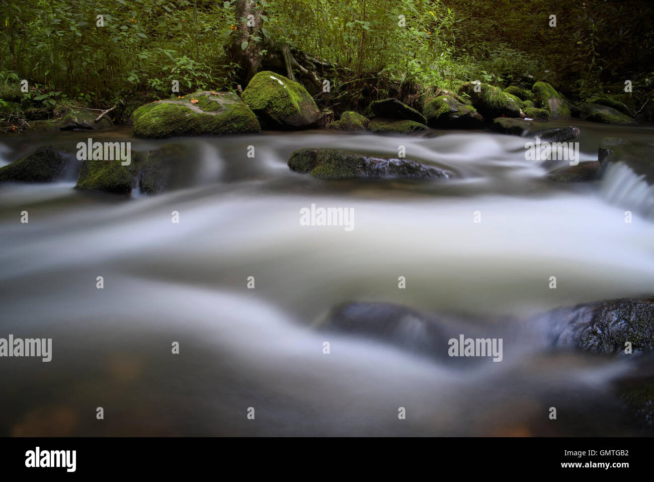 Whiteoak Creek im Nantahala National Forest. Nord-Carolina. Stockfoto