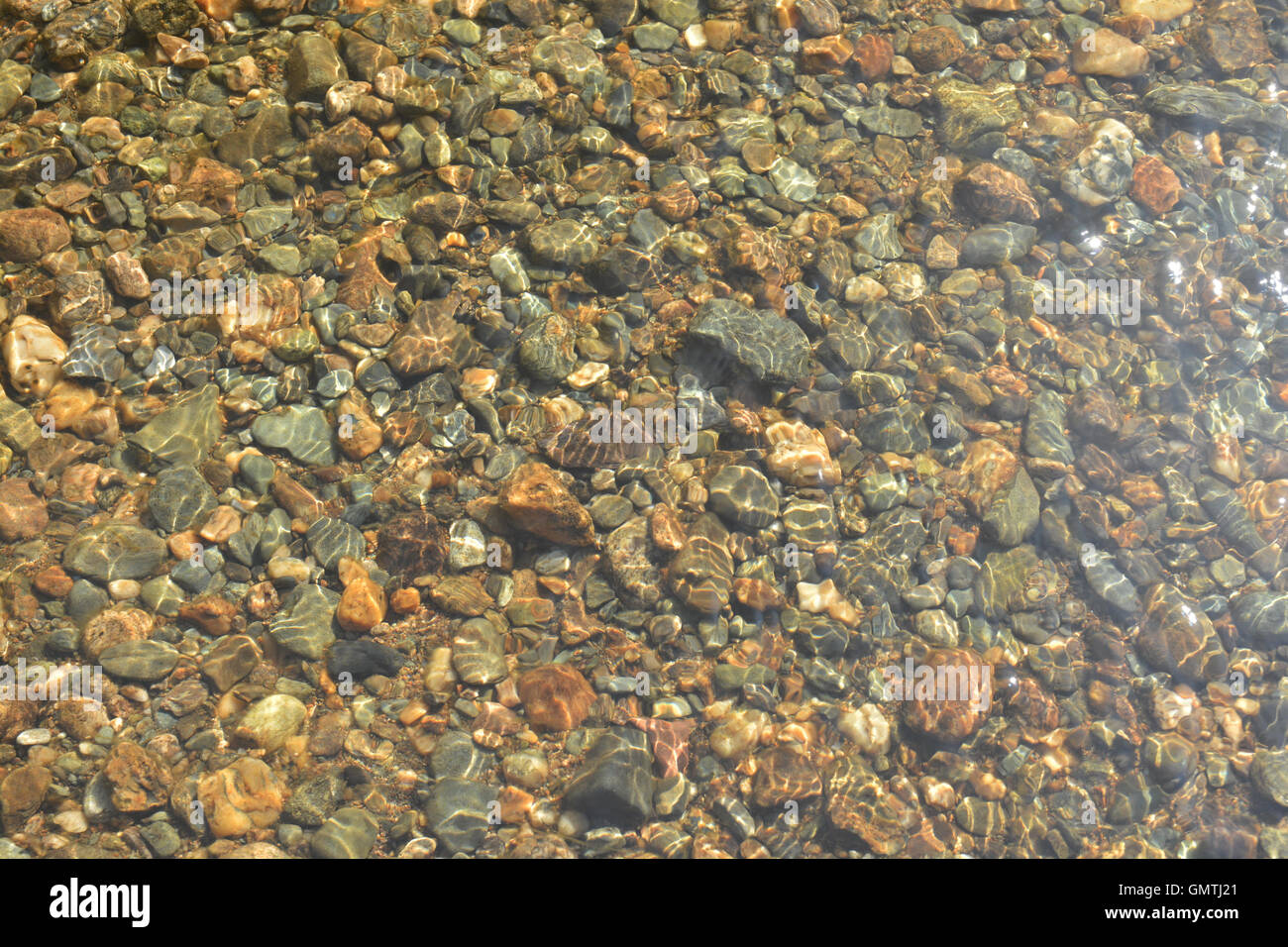 Hintergrund der Flusskiesel unter klarem Wasser. Steinigen Boden des Teiches unter der Sonne. Stockfoto