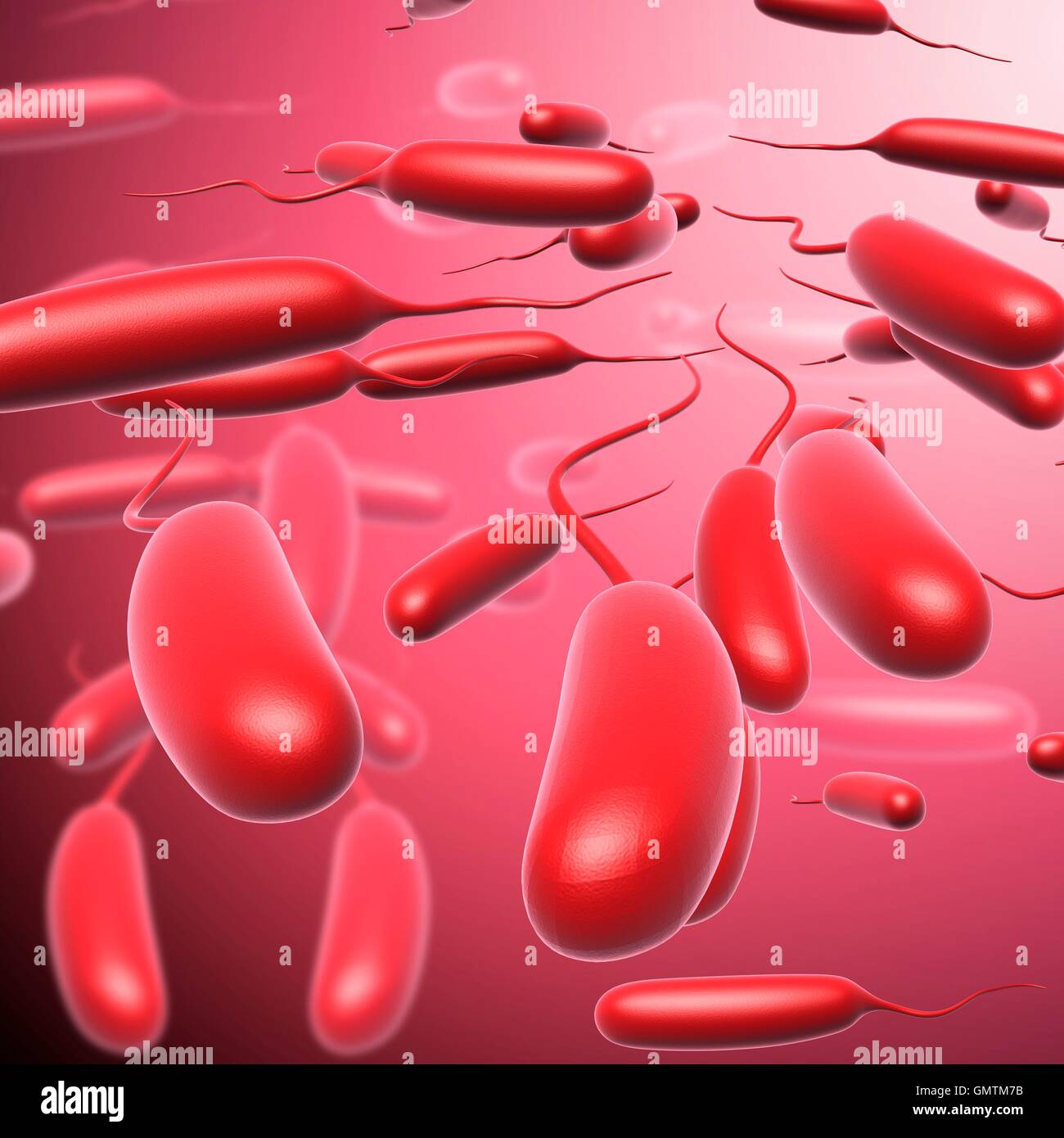 Escherichia coli 3d Fotos und Bildmaterial in hoher Auflösung Alamy