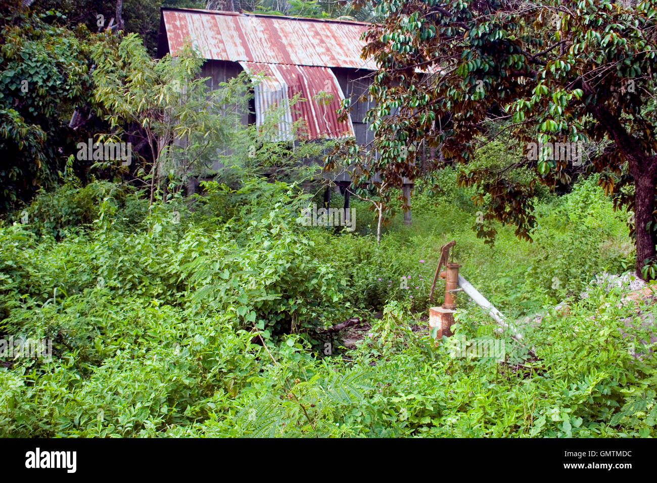 Unkraut wachsen rund um eine alte Wasserpumpe vor einem verlassenen Holz und Zinn gestelzt Hütte in Chork Village, Kambodscha. Stockfoto