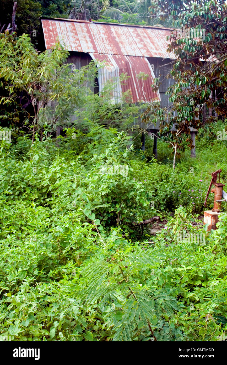 Unkraut wachsen rund um eine alte Wasserpumpe vor einem verlassenen Holz und Zinn gestelzt Hütte in Chork Village, Kambodscha. Stockfoto