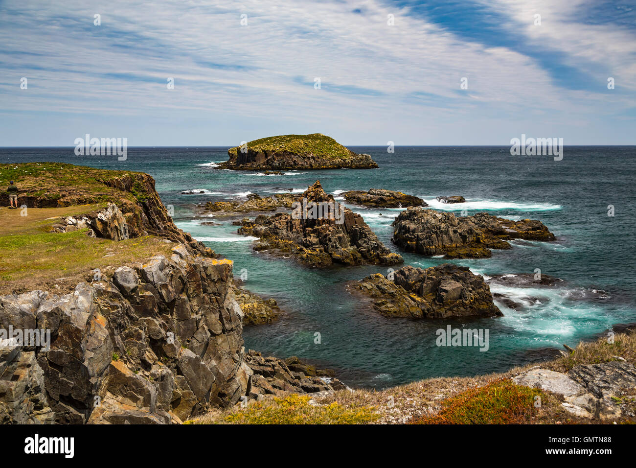 Offshore-Felsen und zerklüftete Küste bei Elliston, Neufundland und Labrador, Kanada. Stockfoto