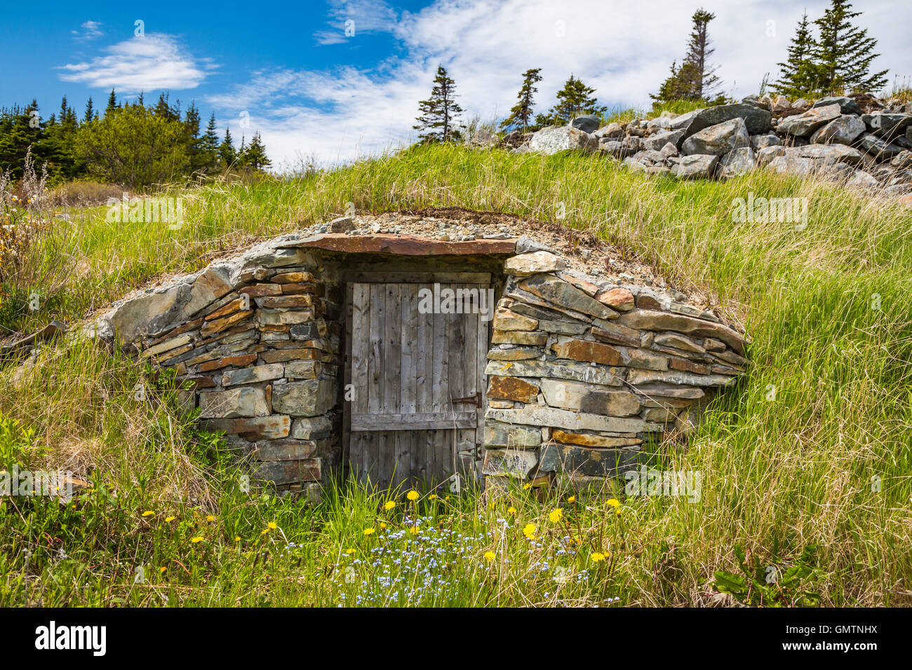 Eine in den Boden Wurzel Keller Elliston, Neufundland und Labrador, Kanada. Stockfoto