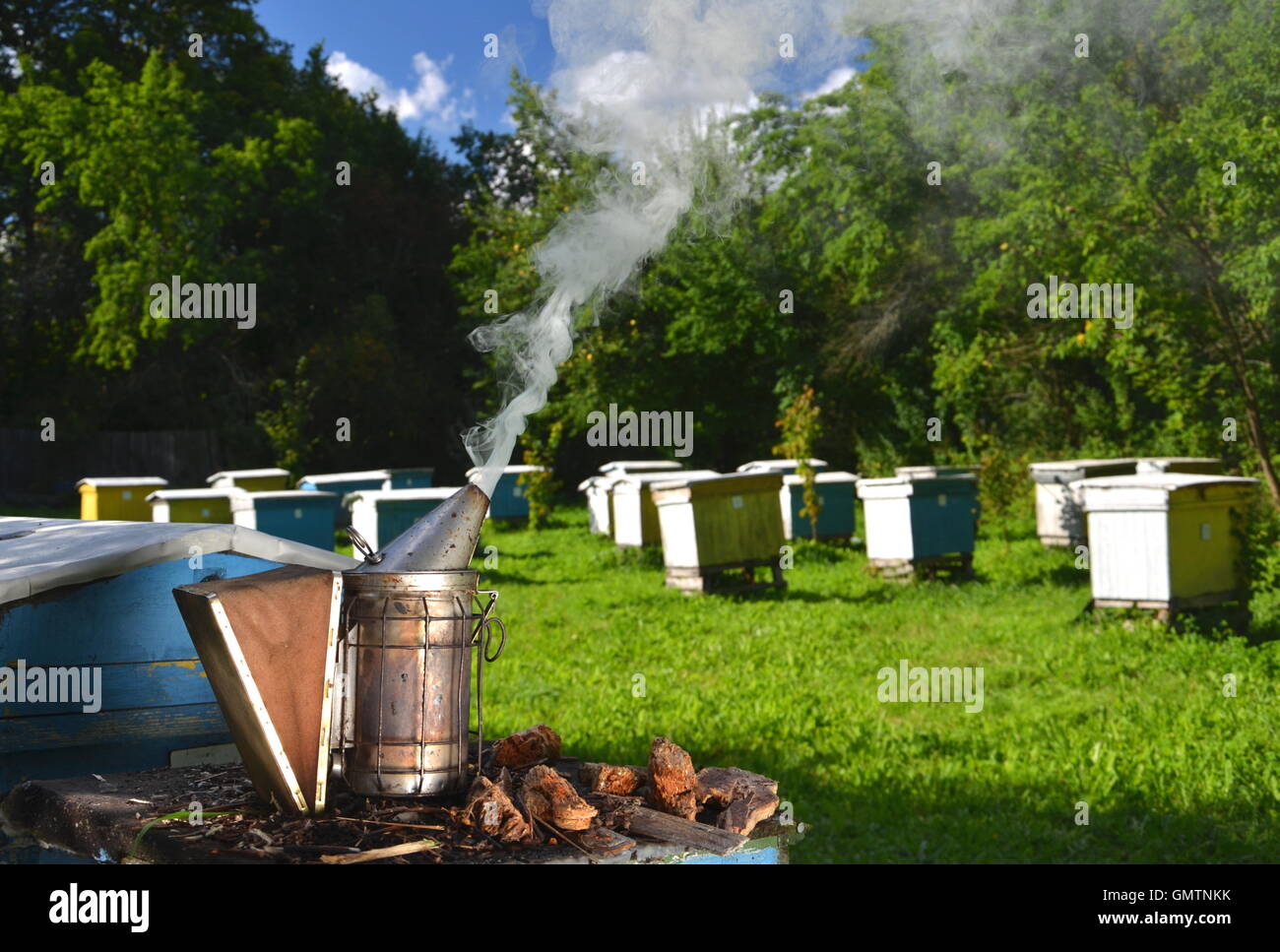 Biene Raucher im Bienenhaus Stockfoto