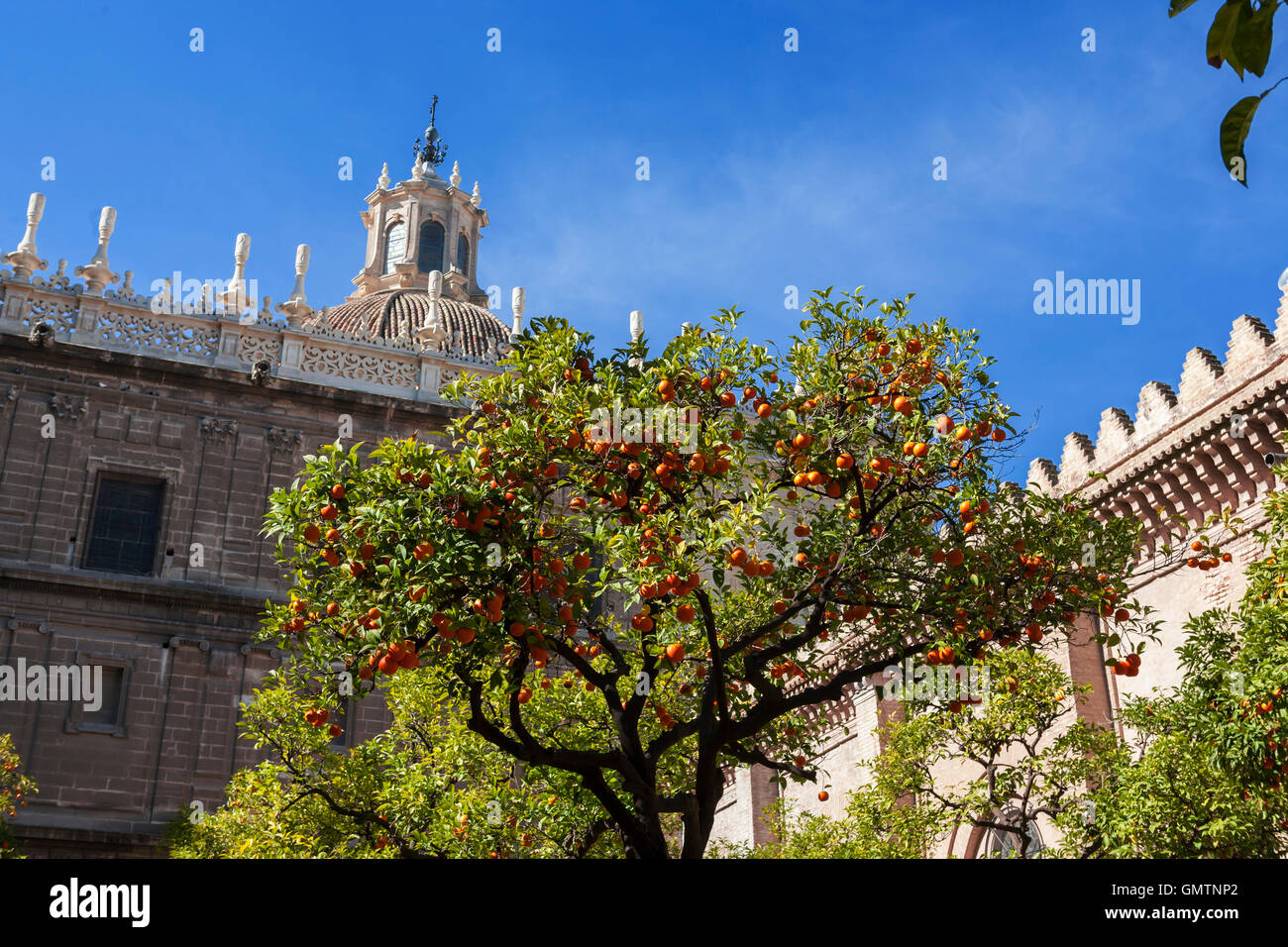 Der Patio de Los Naranjos oder Orange Tree Innenhof, Teil der Kathedrale Komplex, Sevilla, Andalusien, Spanien Stockfoto