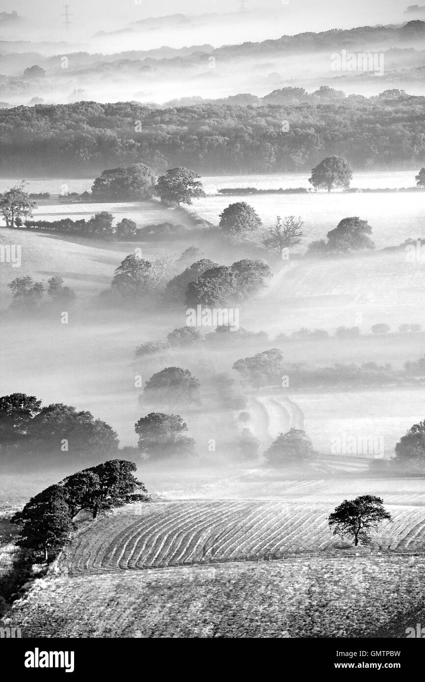 Sommer-Nebel auf dem Weald Stockfoto