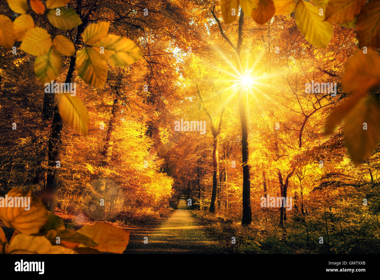 Goldene Herbstlandschaft im Wald, die Sonne wirft schöne Lichtstrahlen durch das Laub zu einem Wanderweg Stockfoto
