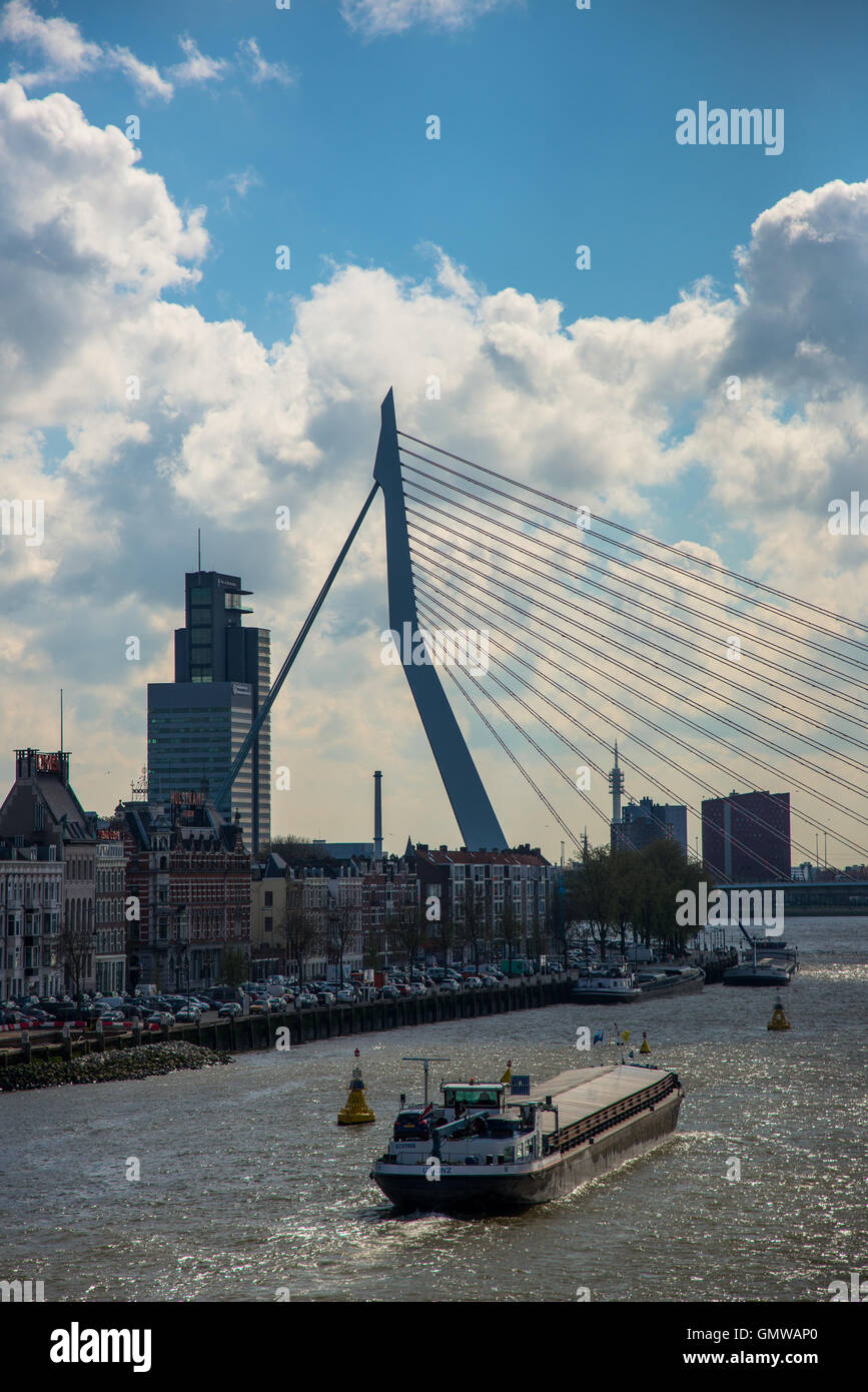 berühmte Erasmusbrücke oder Zwaan über die Maas in Rotterdam holland Stockfoto