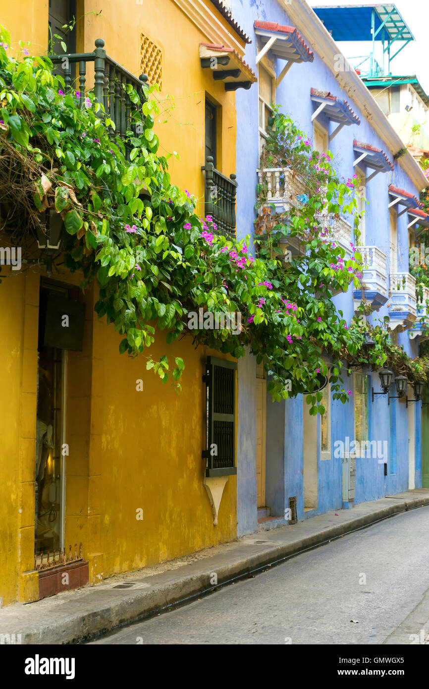 Bunte Kolonialarchitektur abgedeckt, wenn, üppige schöne in Cartagena, Kolumbien Blumen Stockfoto