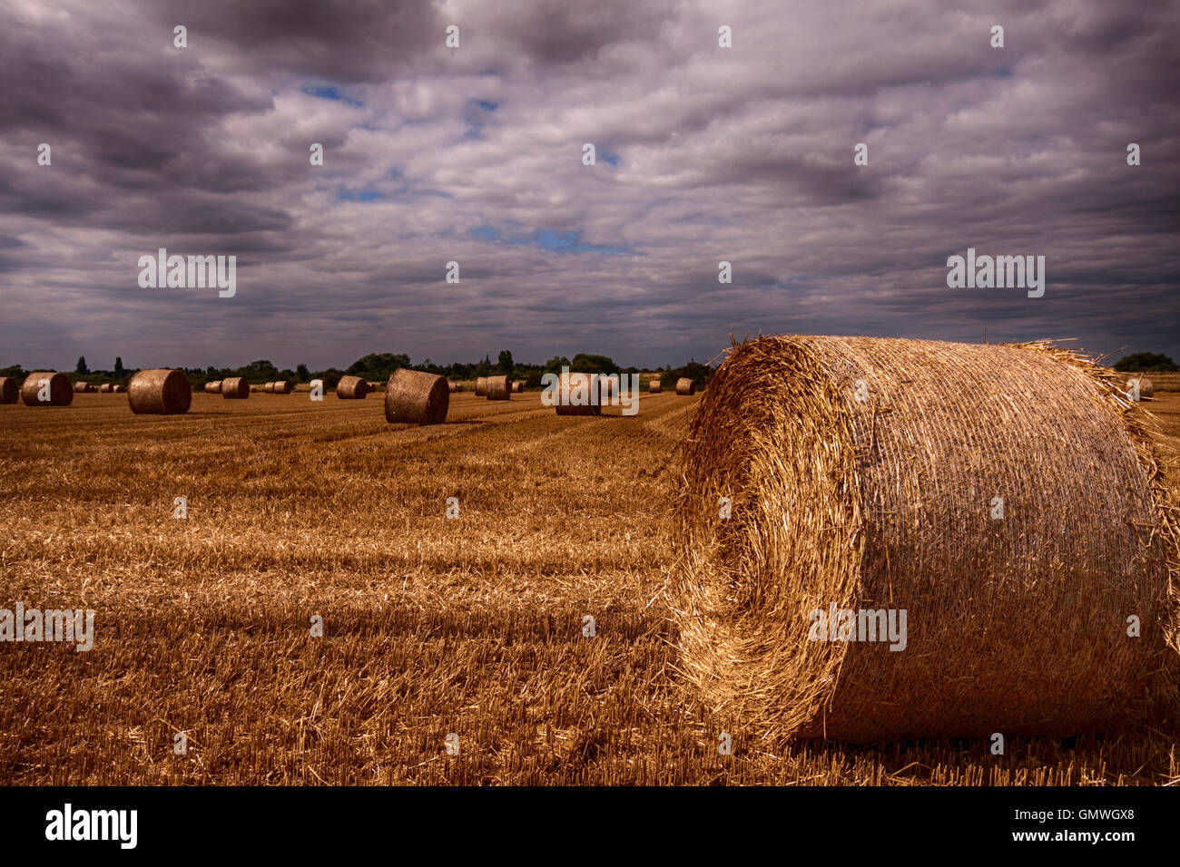 Runde Heuballen in Stubbly goldenen Feld unter bewölkte Himmel auf einem Bauernhof in Essex Stockfoto