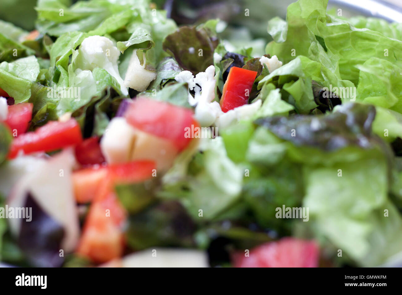Salat hautnah Stockfoto