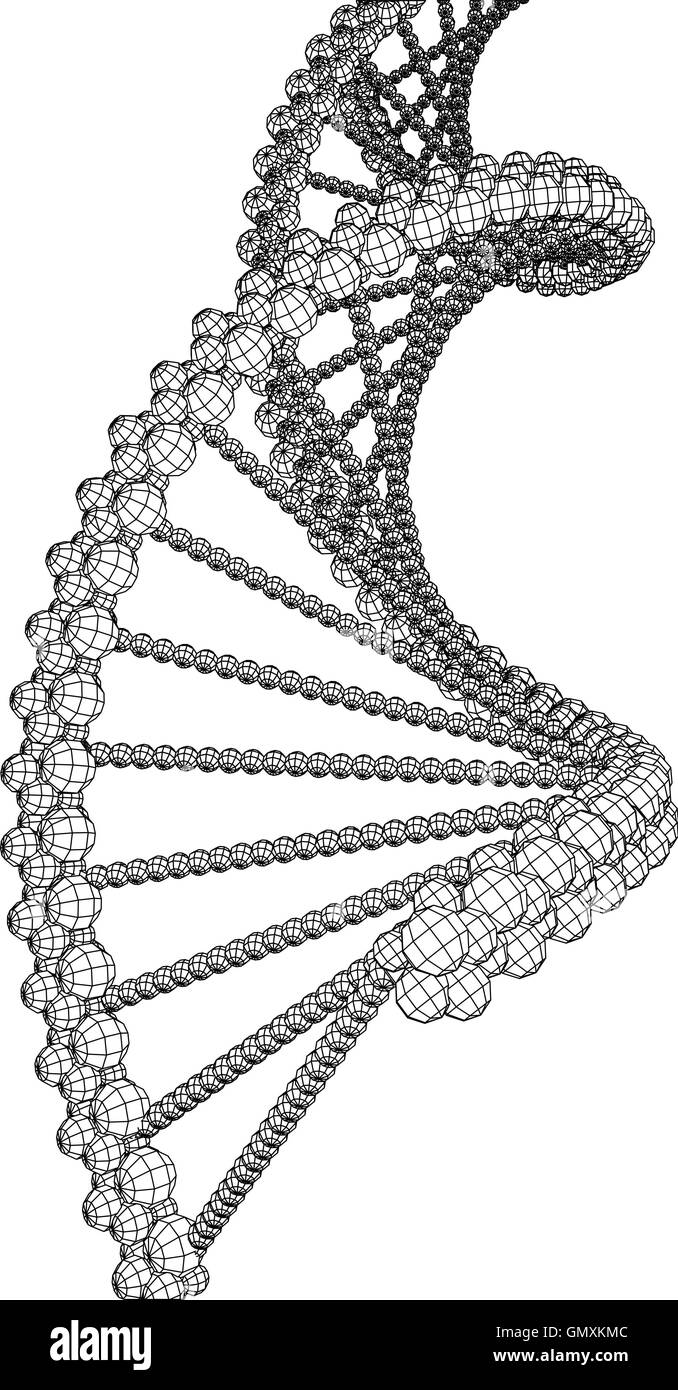 DNA-Molekül Bild Stock Vektor