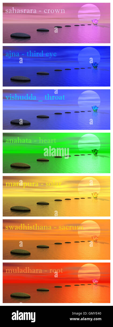 Schritte zur Lilie Blume und Sonne Stockfoto