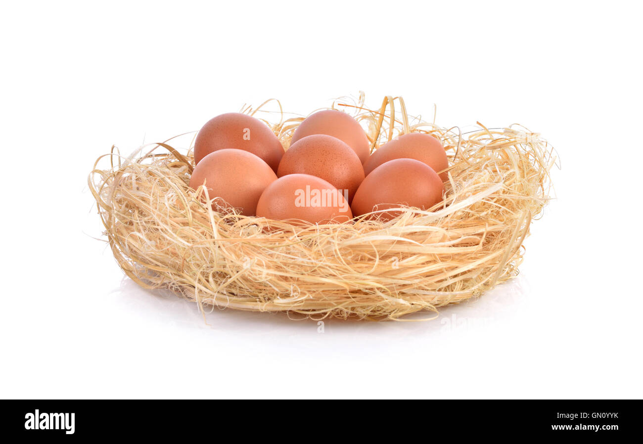Eiern in einem Nest auf weißem Hintergrund Stockfoto