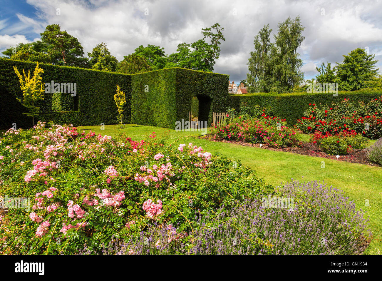 Der Rosengarten bei Waterperry Gärten, Oxfordshire, England, UK Stockfoto
