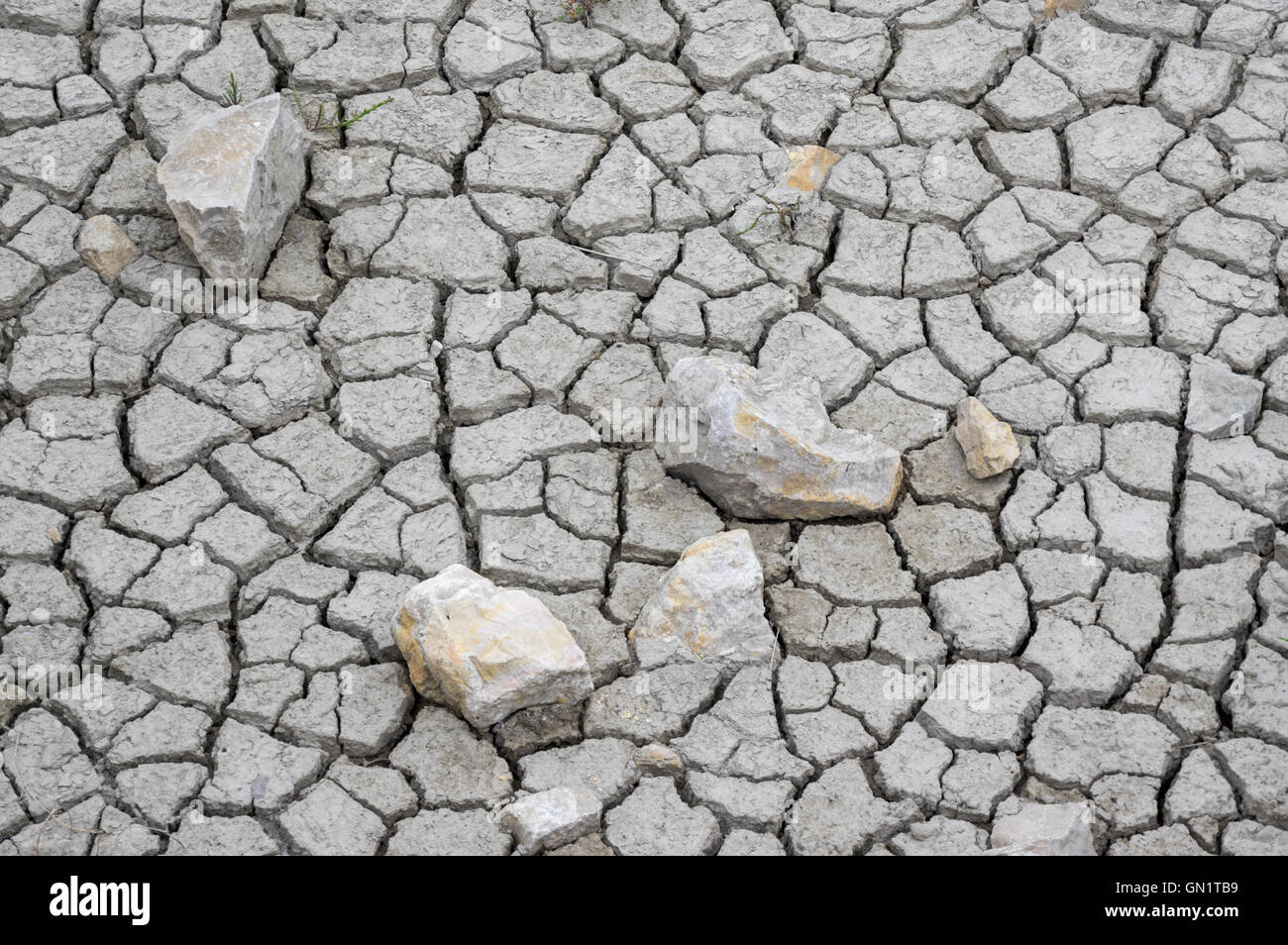 Gebrochene Schlamm mit Felsen in einem Teich, Camargue, Frankreich Stockfoto