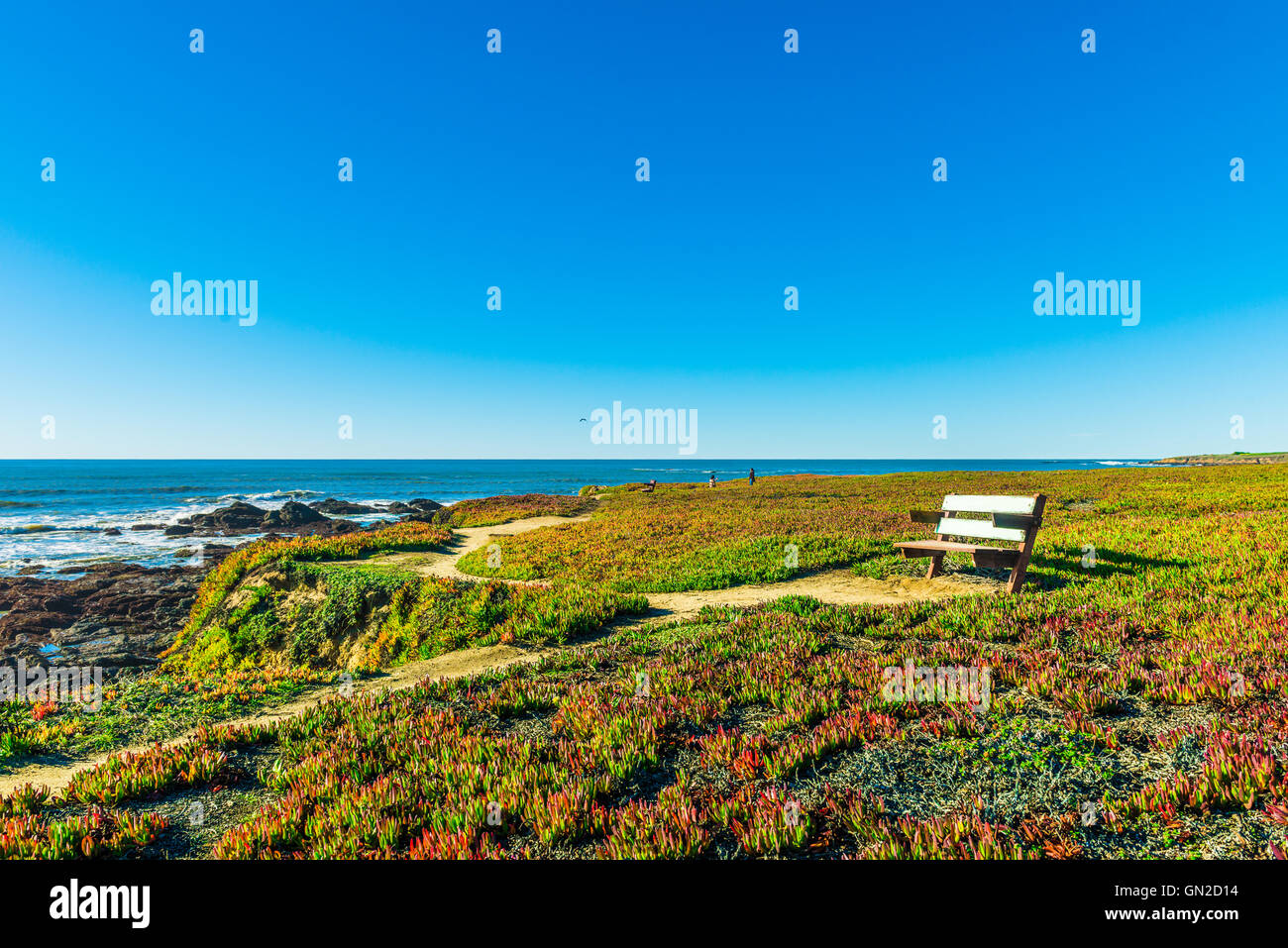 Bänke mit Blick auf die Küste in Route 1 Kalifornien, USA Stockfoto