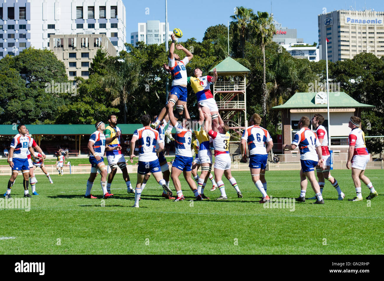 Sydney, Australien. 28. August 2016. Rugby-Spieler konkurrieren in einem Line-Ausgang in einem NRC Vorrundenspiel zwischen die Sydney-Strahlen und die Western Sydney Rams in North Sydney Oval. Bildnachweis: Mjmediabox/Alamy Live-Nachrichten Stockfoto