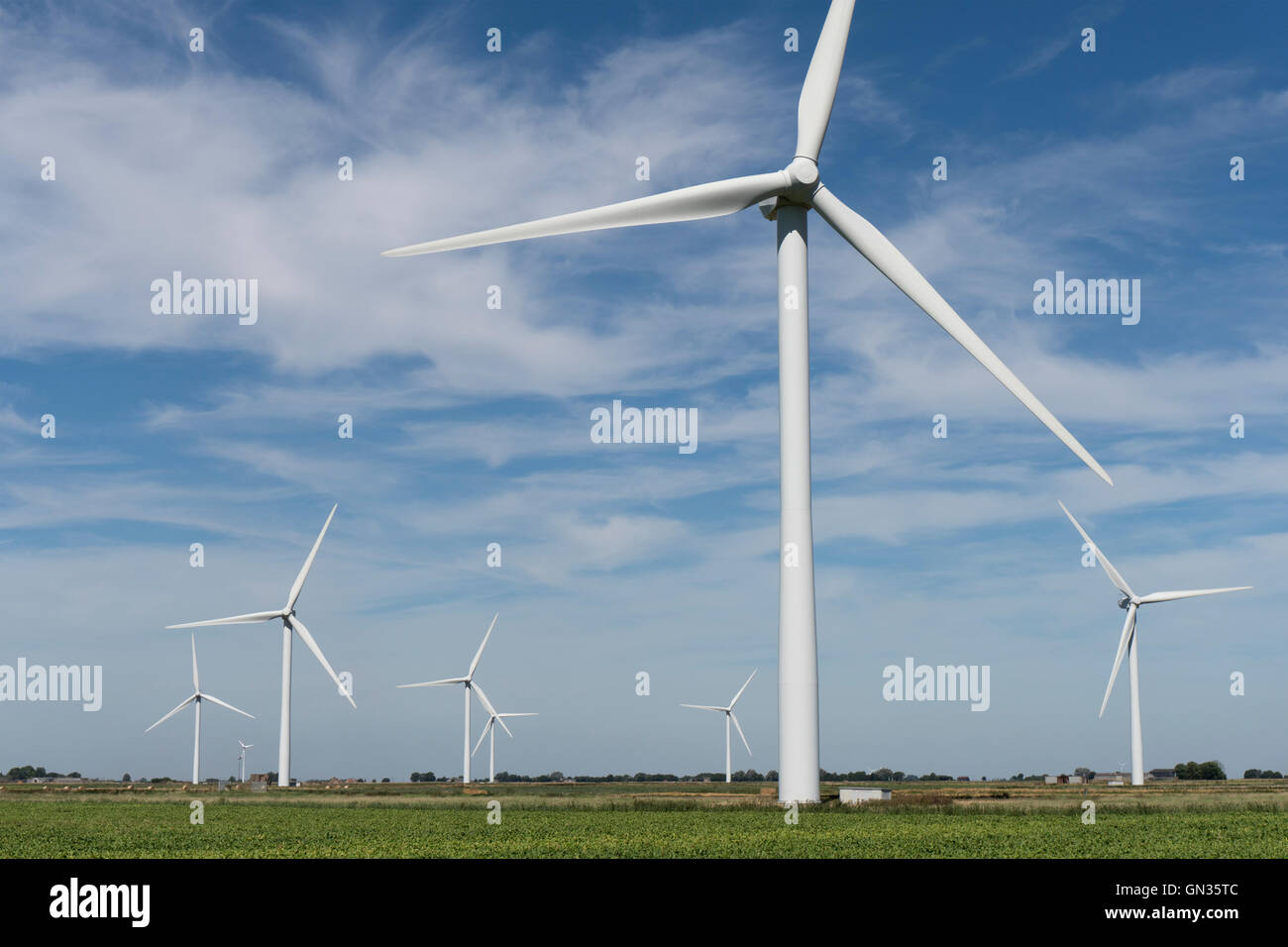Hohen Fenn Wind Farm Warboys Cambridge Stockfoto