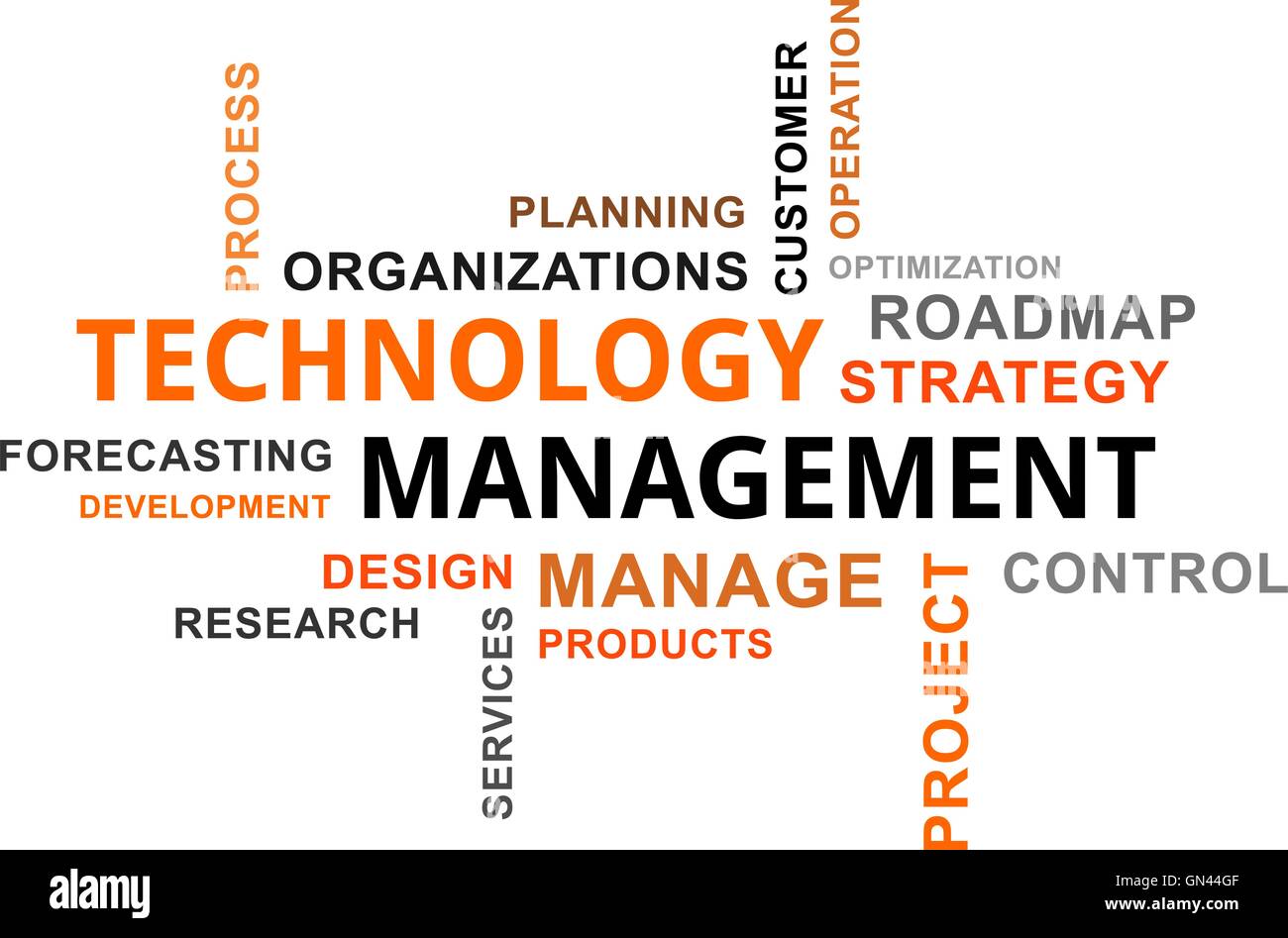 Wortwolke - Technologiemanagement Stock Vektor