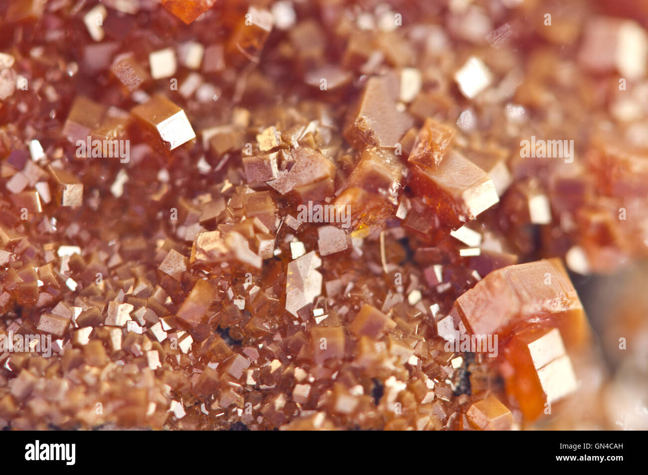 Vanadinit Kristallen ist ein Mineral Apatit Gruppe von Phosphaten, chemische Formel Pb5 (VO4) 3Cl.  Makro. Stockfoto