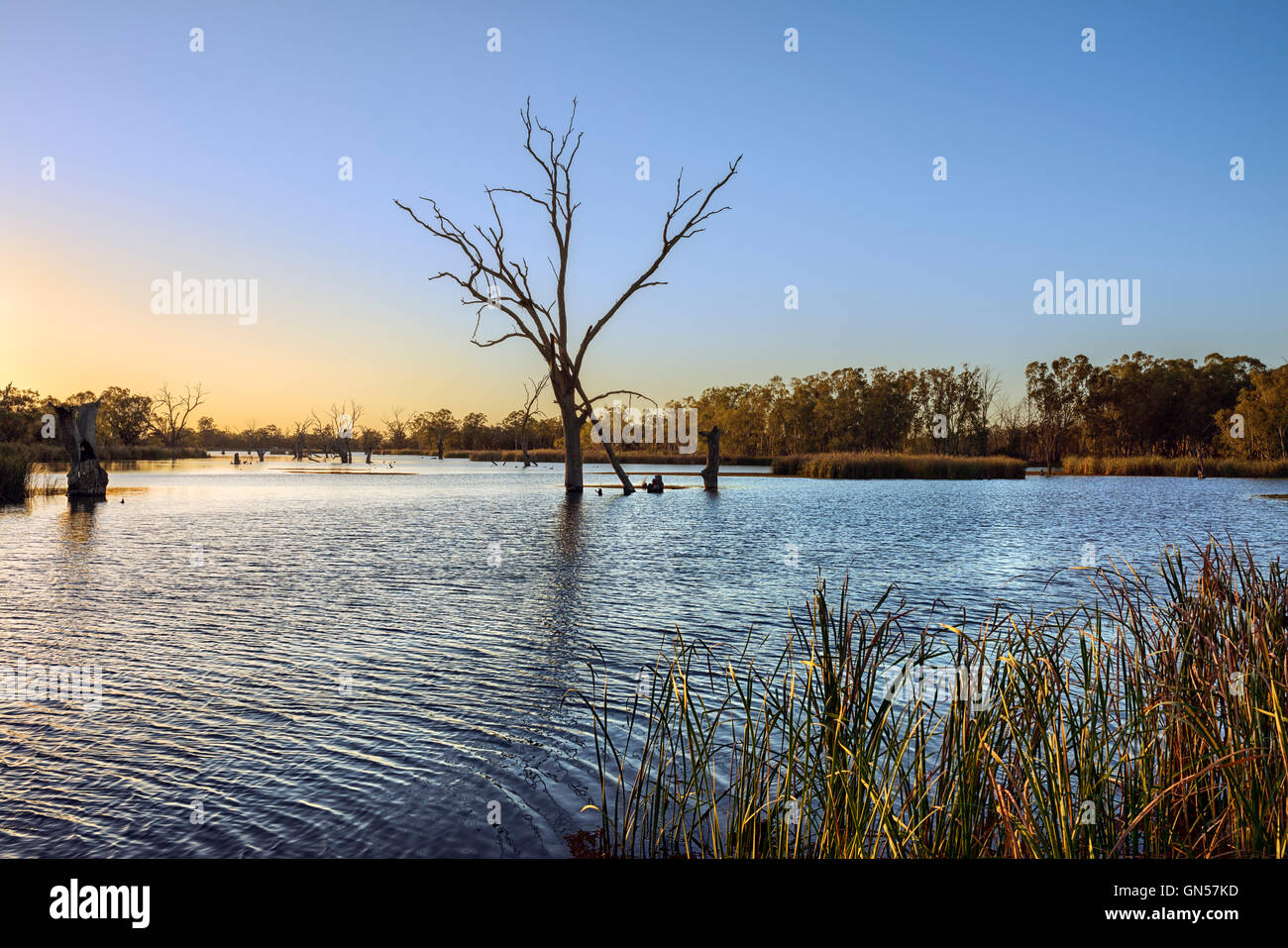 Morgendämmerung am das Loch Luna-Wildreservat im Riverland South Australia Stockfoto