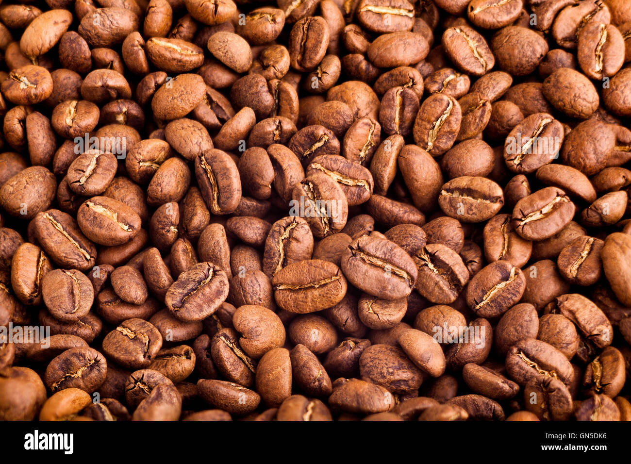 Kaffeebohnen-Nahaufnahme Stockfoto