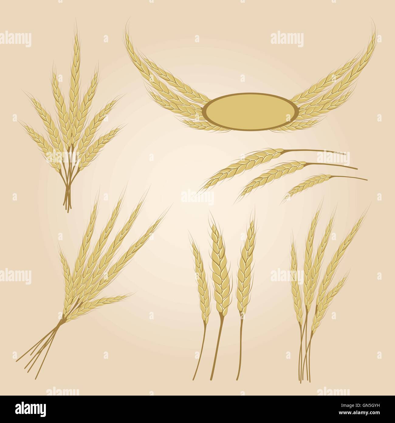 Reife gelbe Roggen Ohren, landwirtschaftliche Vektor-illustration Stock Vektor