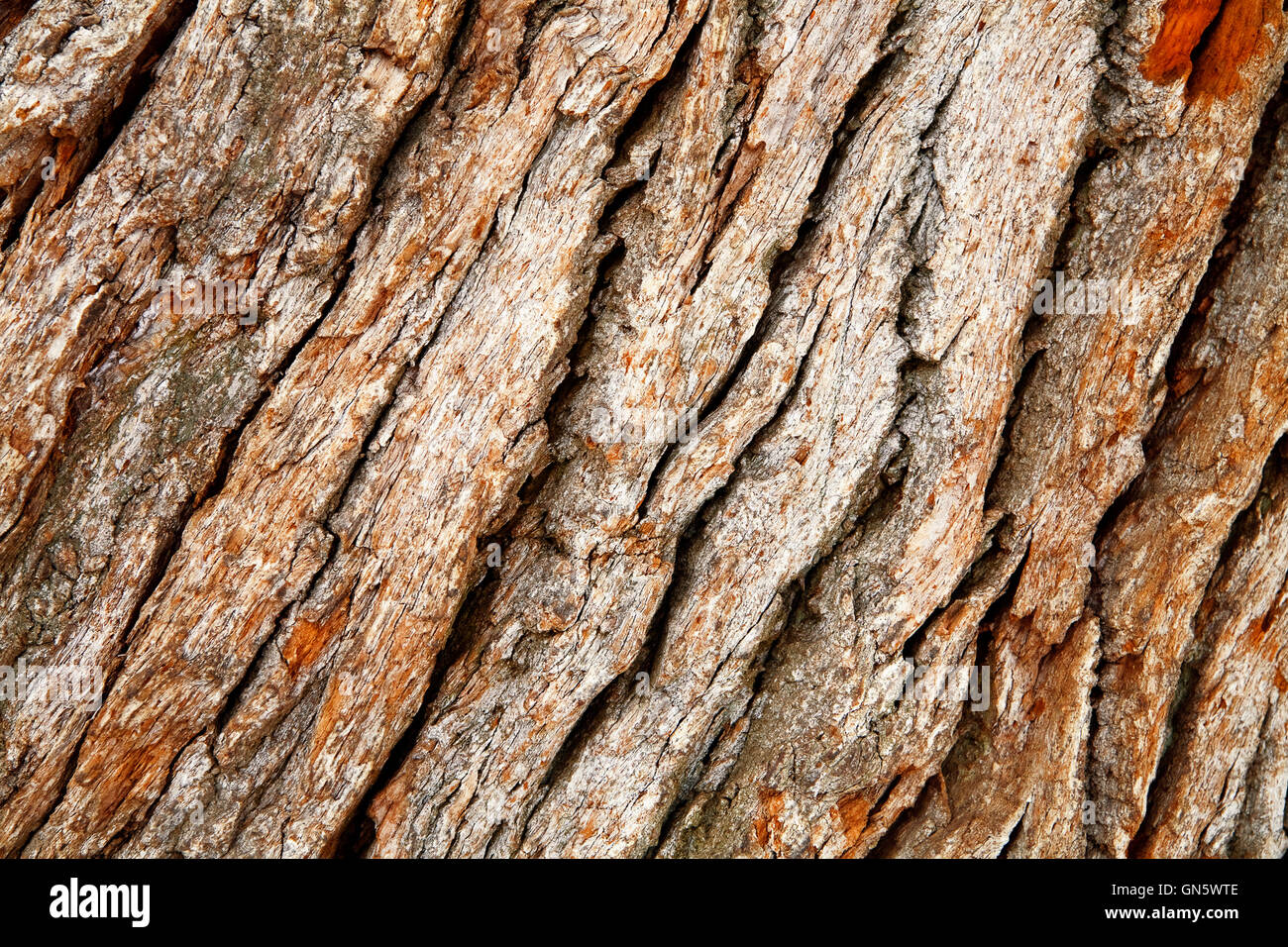 Fragment der alten hölzernen Oberfläche von brauner Farbe Stockfoto