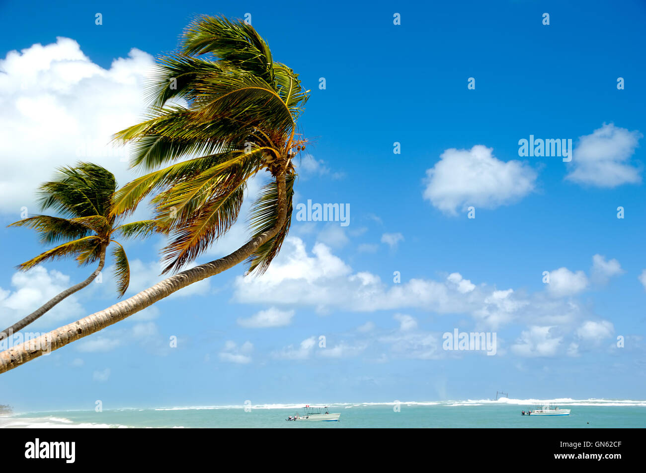 Tropischer Strand Stockfoto