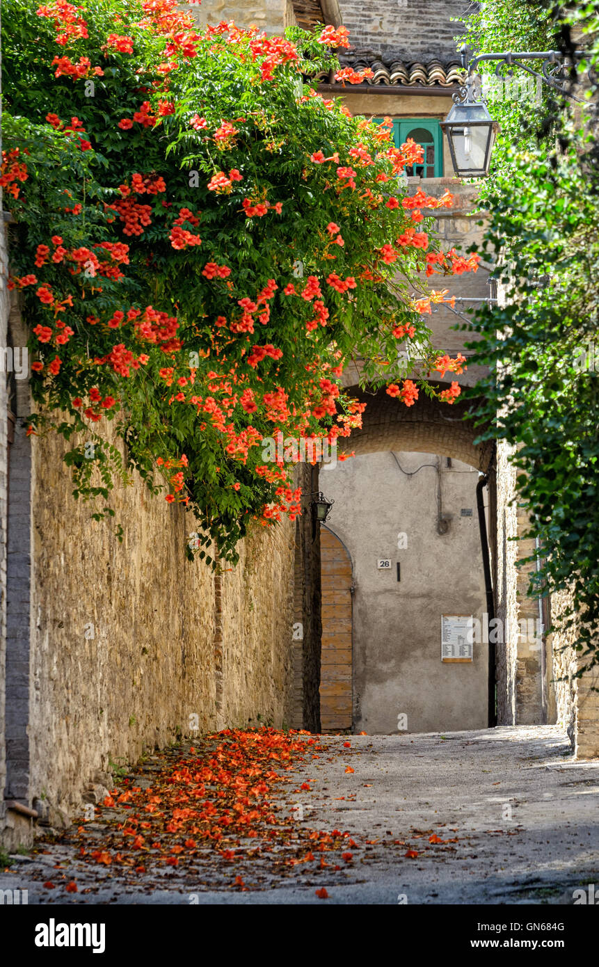 Bevagna (Umbrien) alte Gasse Stockfoto