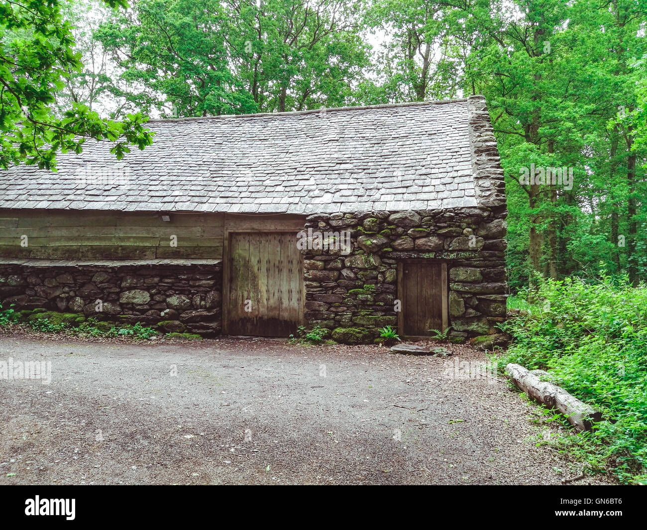 Altes Steinhaus in den Wäldern Stockfoto