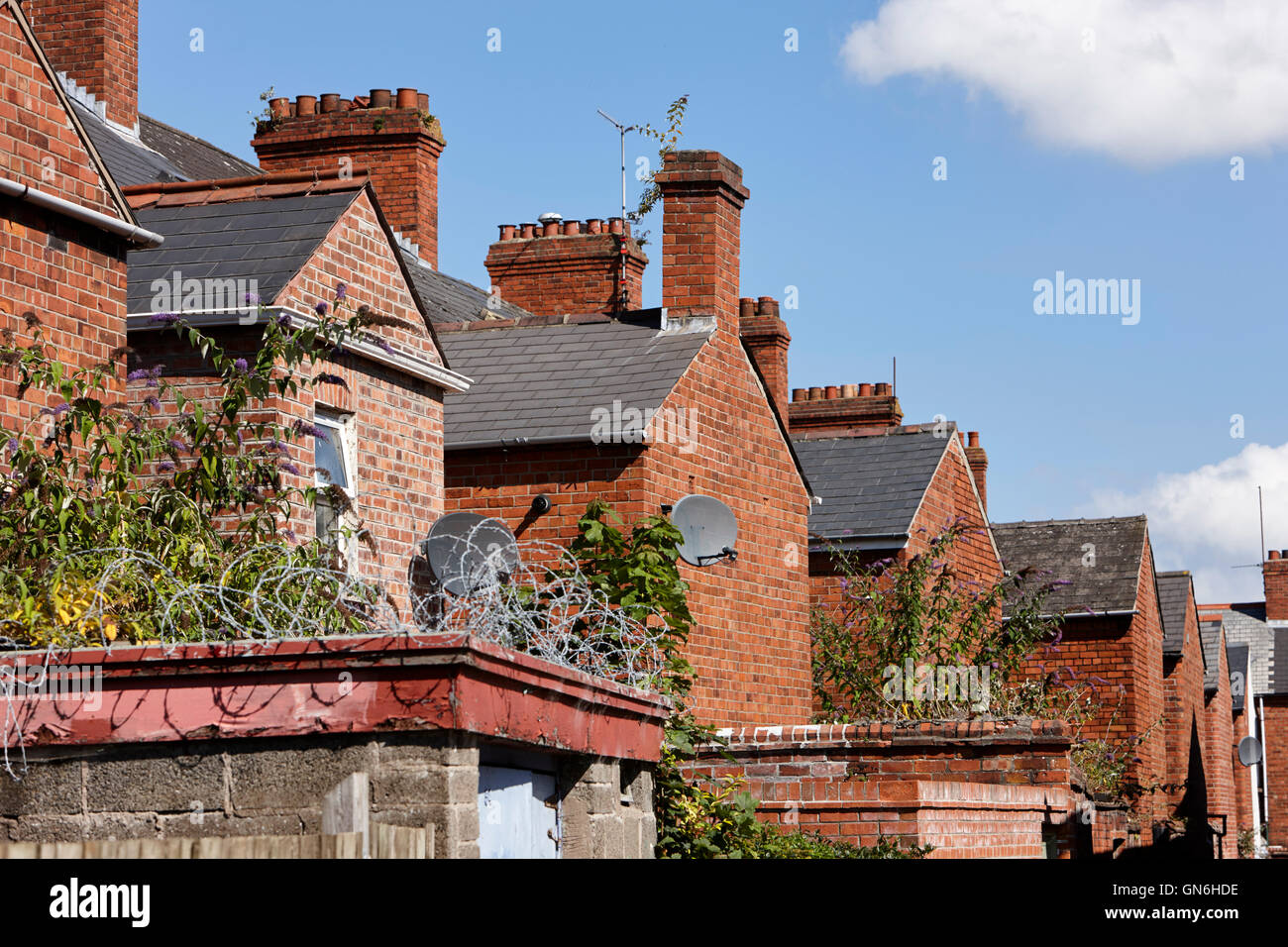 Zeile der hinteren Erweiterungen auf viktorianischen Reihenhaus Reihenhäuser im Vereinigten Königreich Stockfoto