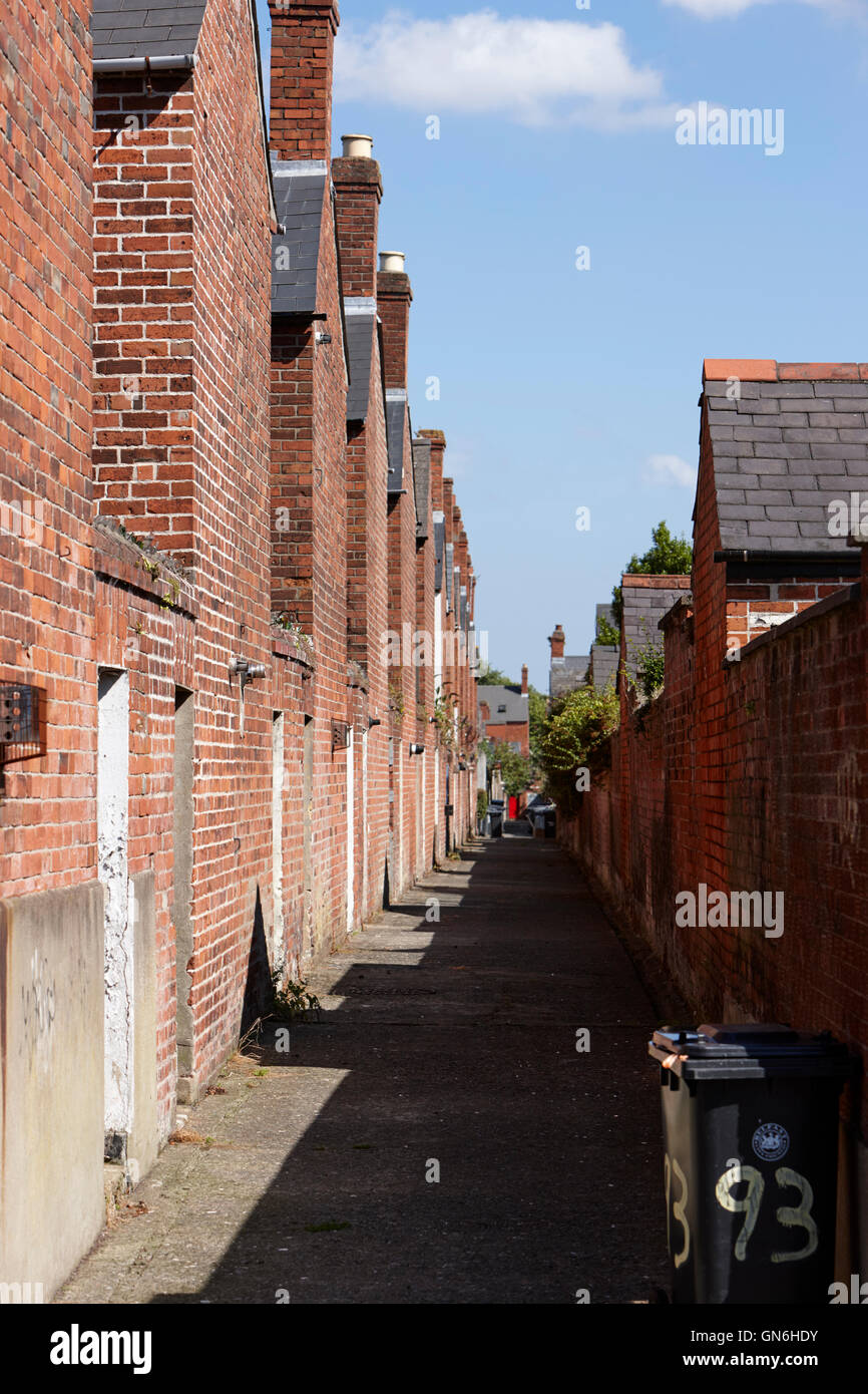 schmale Gasse zwischen viktorianischen Reihenhäusern und Stadthäuser in South Belfast uk Stockfoto