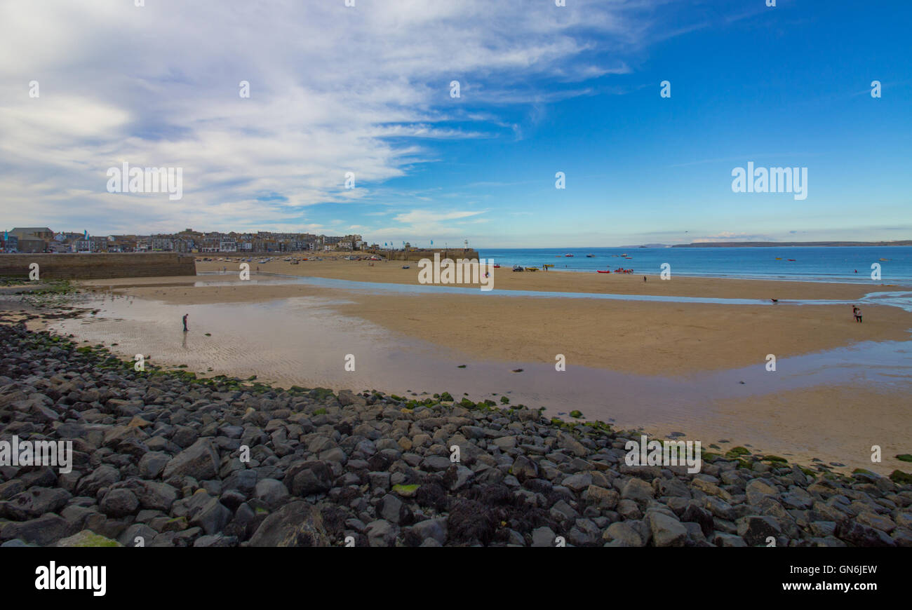 Das Blatt wird an einem sonnigen Abend im Sommer bei Hafenstrand, St. Ives, Cornwall, UK Stockfoto