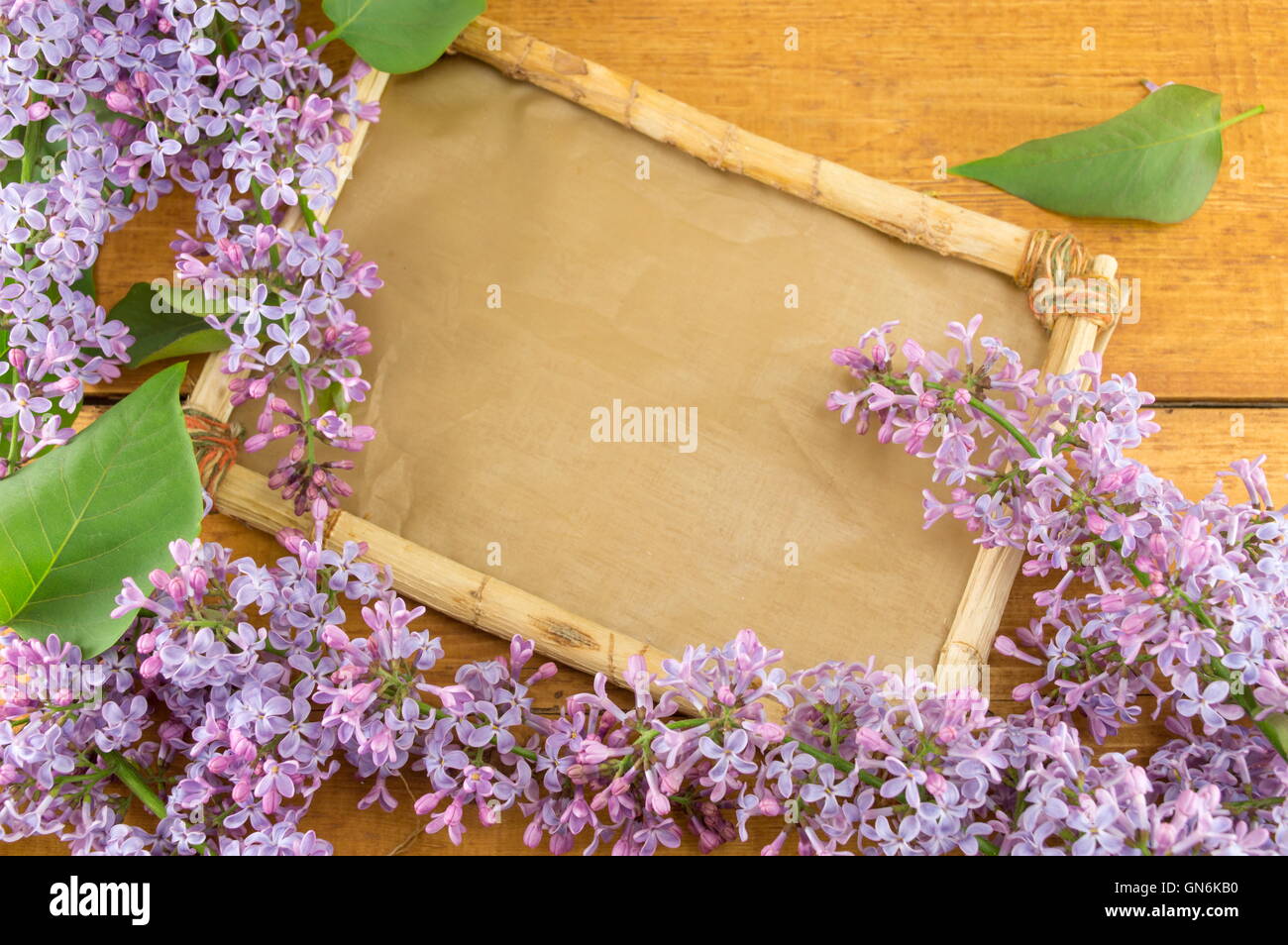 lila Blume und alten Holzrahmen Stockfoto