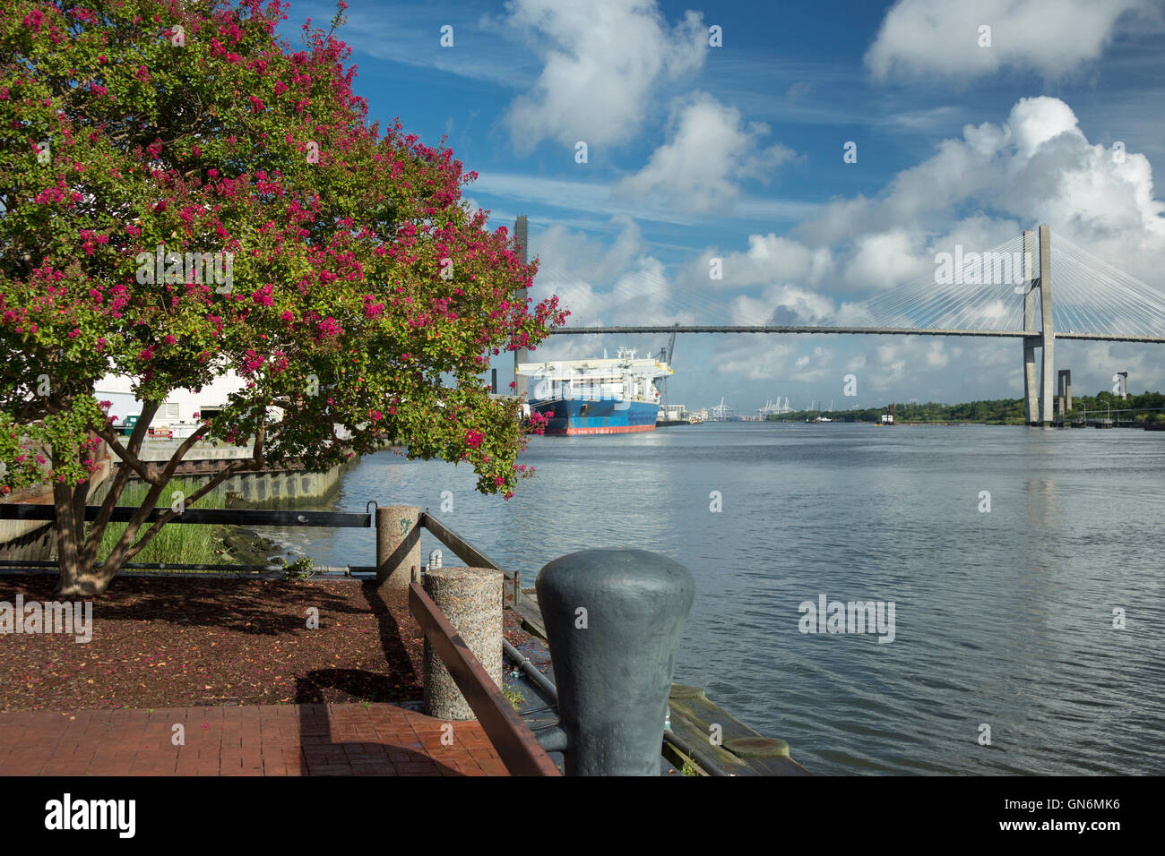 FLUSS ZU FUß PROMENADE SAVANNAH RIVER SAVANNAH GEORGIA USA Stockfoto