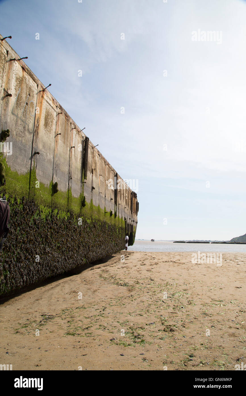 Reste von einem moosbedeckten Mulberry Hafen befindet sich am Strand von Arromanches-Les-Bains, bekannt als Gold Beach während der d-Day. Stockfoto