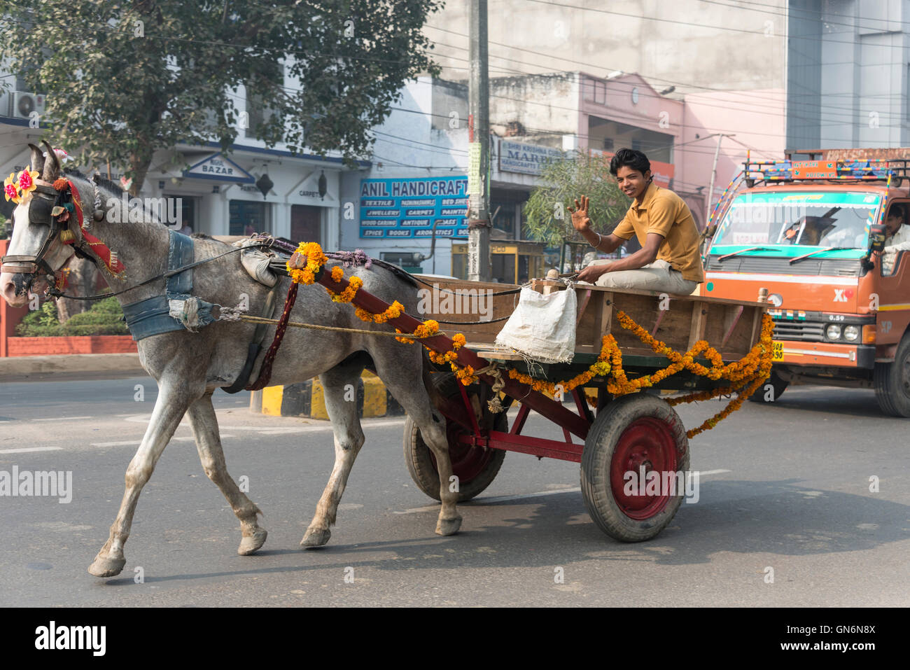 Ein Pferd und ein Karren, geschmückt mit Ringelblumen-Girlanden an einer belebten Hauptstraße in Agra, Uttar Pradesh, Indien Stockfoto