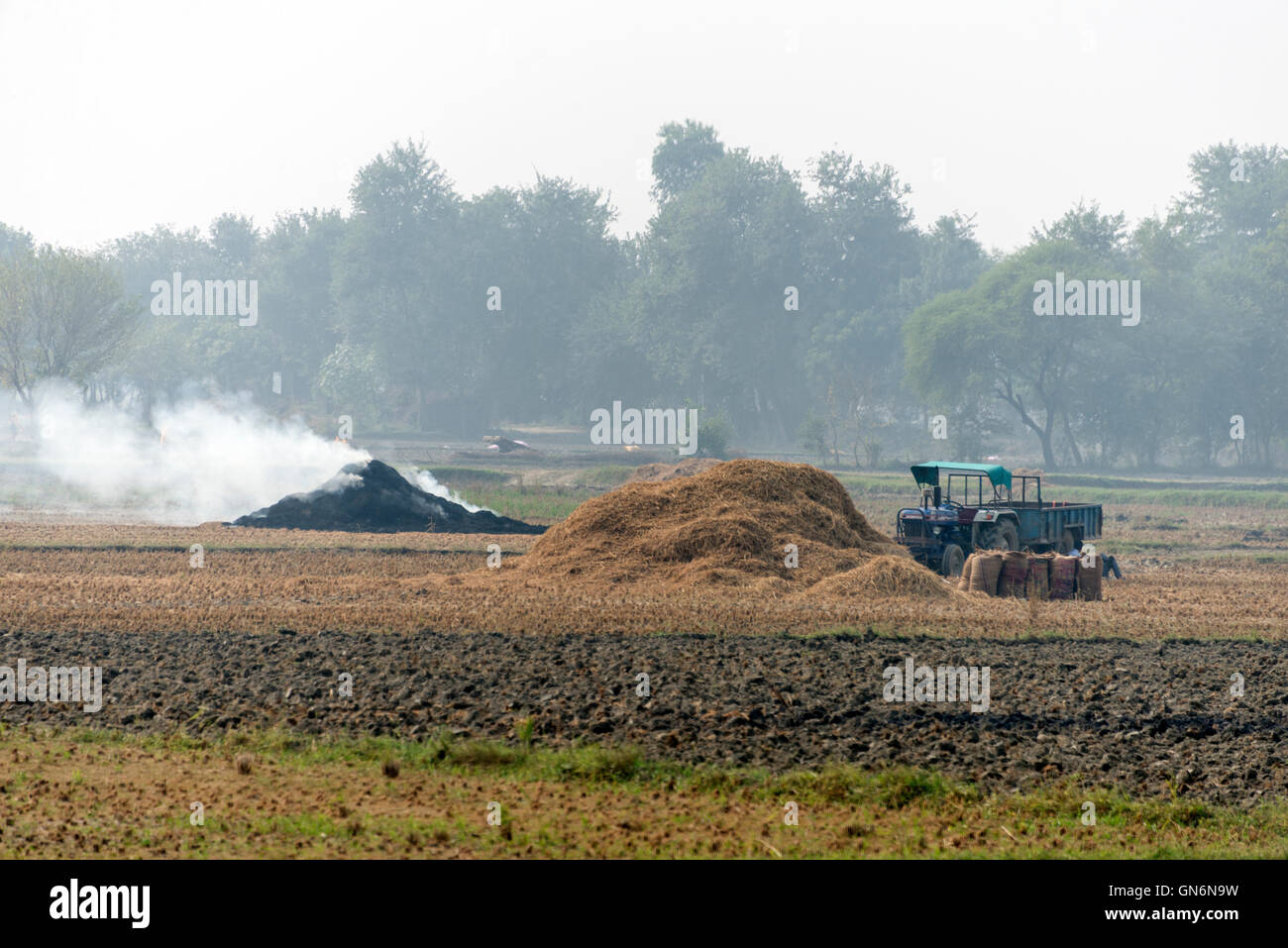 Indische Bauern, die Heu und Stroh verbrennen, trugen zum dicken Smog über Delhi und Agra in Indien bei. Stockfoto