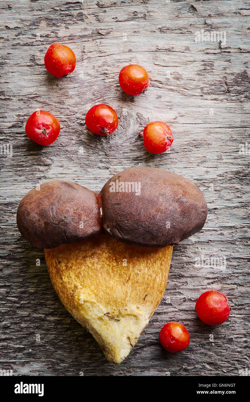 Draufsicht der beiden Kiefer Bolete (Boletus Pinophilus) Pilze zusammengewachsen, auf hölzernen Hintergrund. Still-Leben Foto. Stockfoto