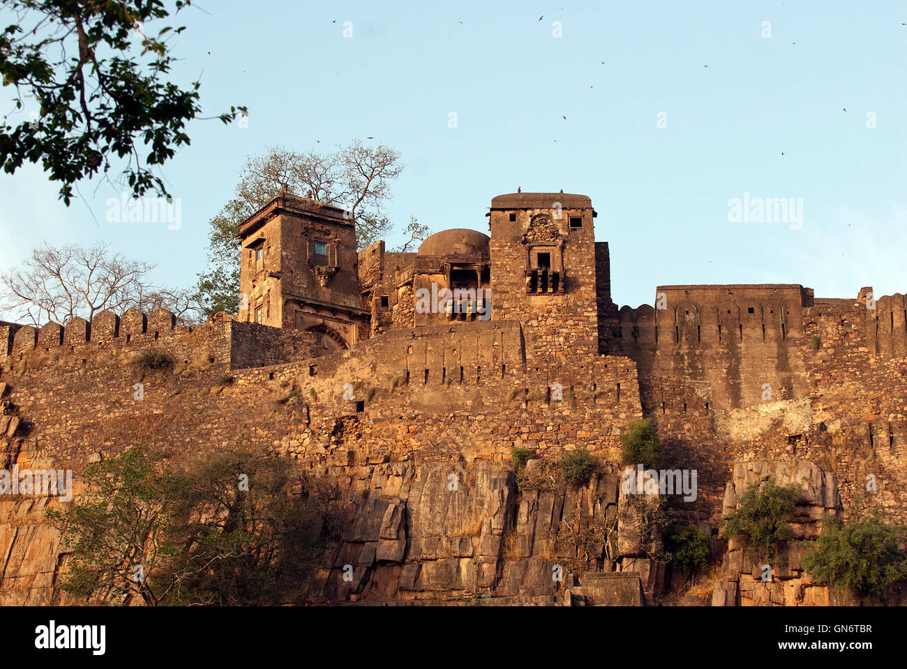 Das Bild der Festung Ranthambore Nationalpark, Rajasthan, Indien Stockfoto