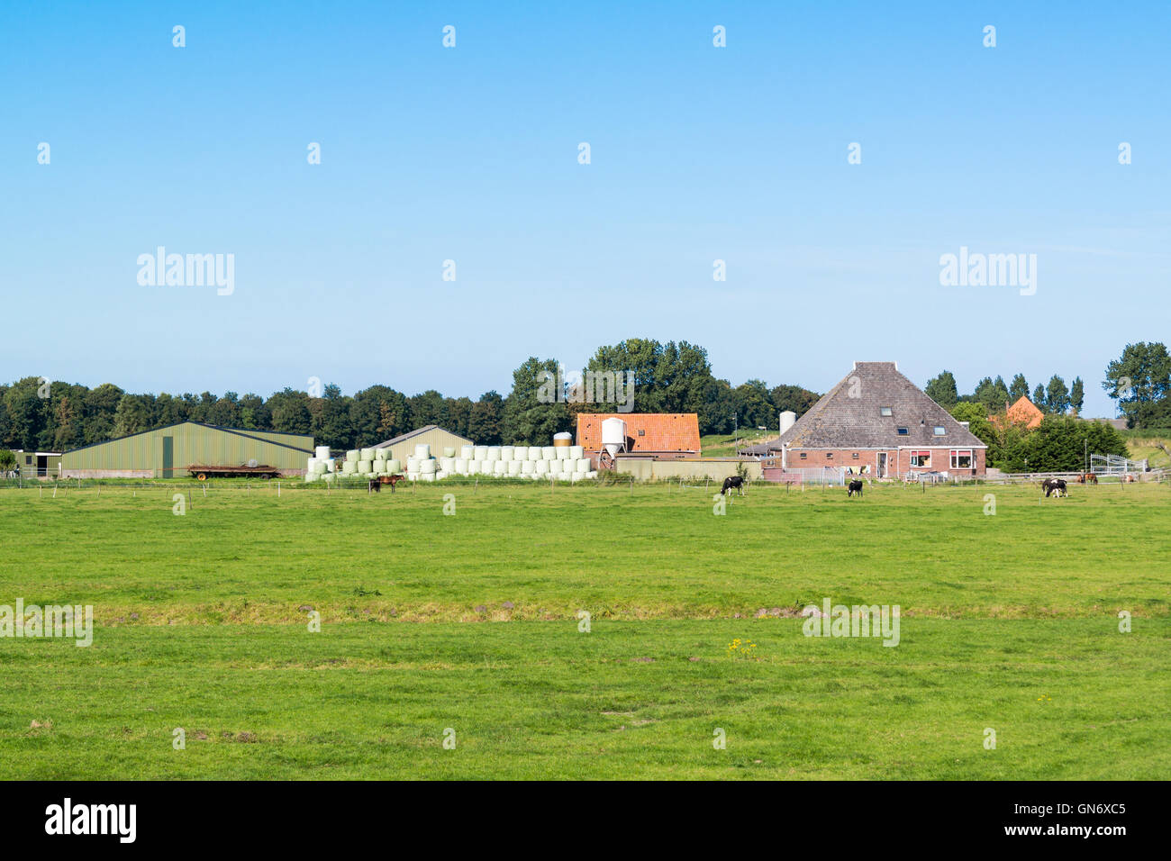 Bauernhaus und Wiesen im Polder in der Nähe von Spijkerboor in Nord-Holland, Niederlande Stockfoto