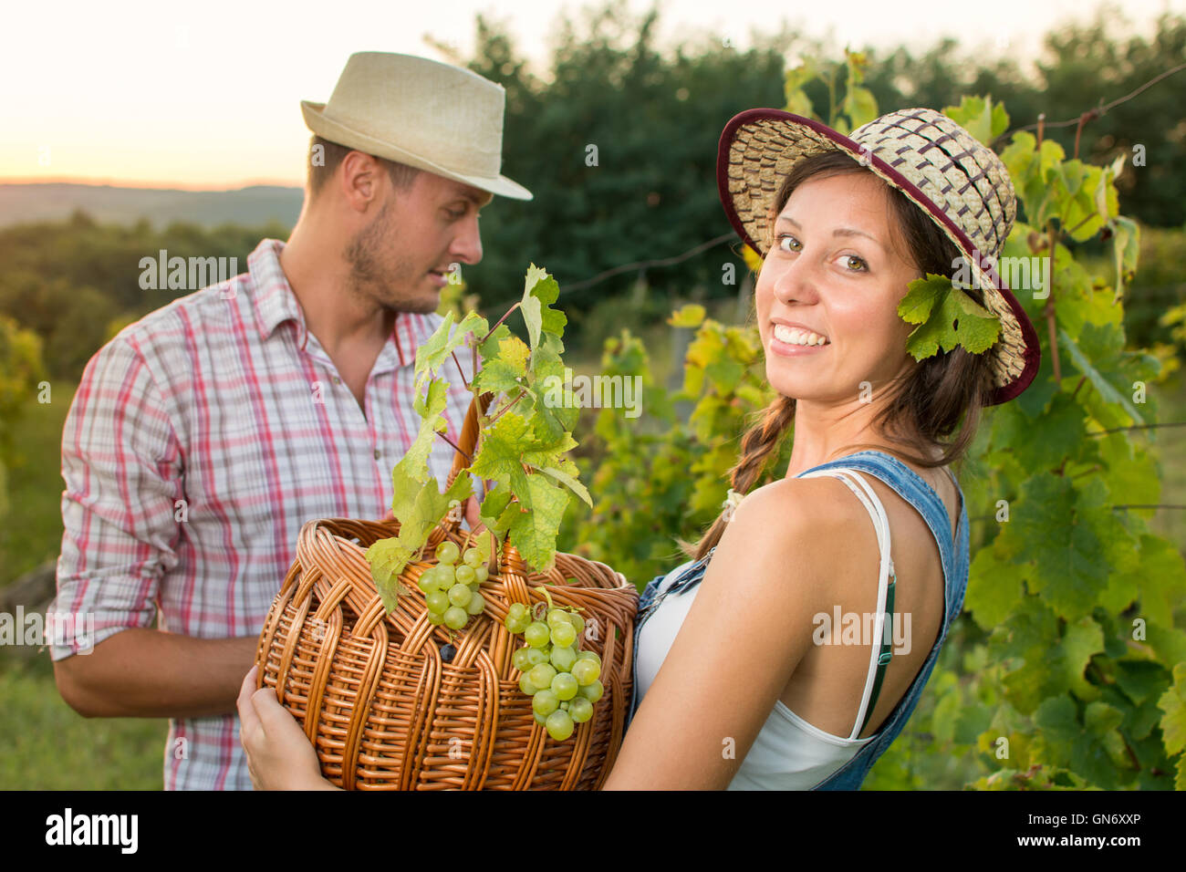 Paar in der Weinlese am Weinberg mit einem Weidenkorb Stockfoto