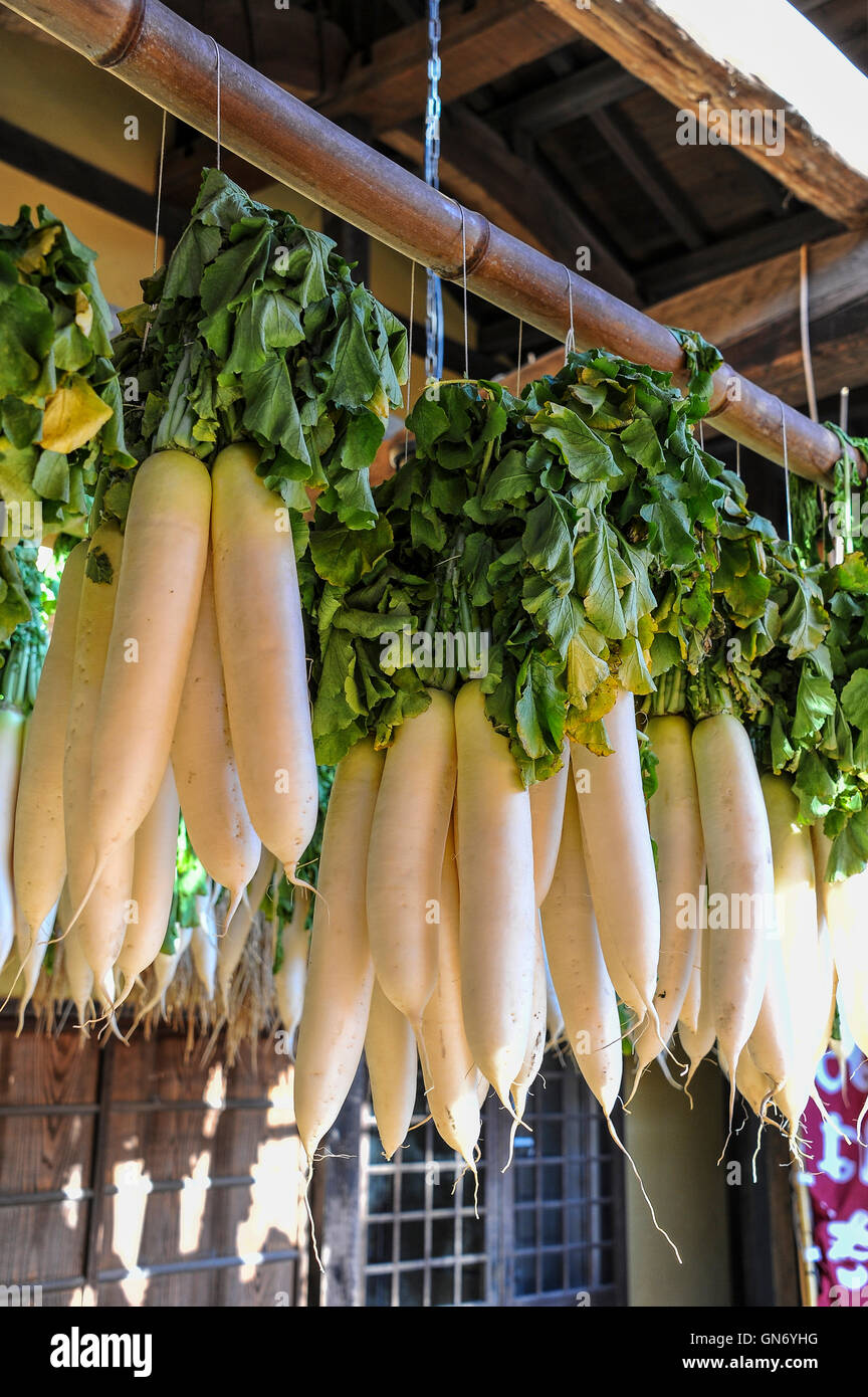 Rettich hängen Bambusstange, Yufu, Japan Stockfoto