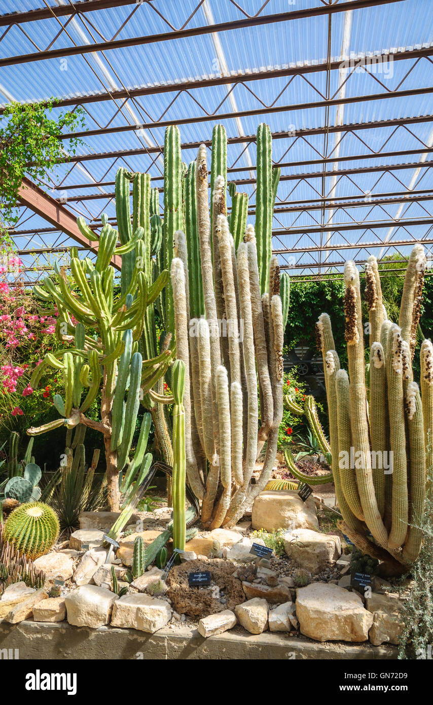 Living Desert Zoo Gardens State Park Stockfoto