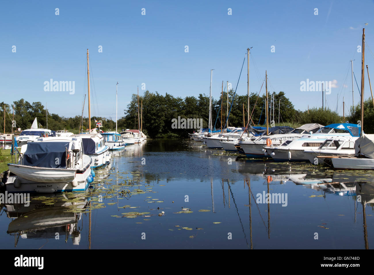 Luxus-Boote und Yachten vertäut am Barton Rasen auf den Norfolk Broads Stockfoto