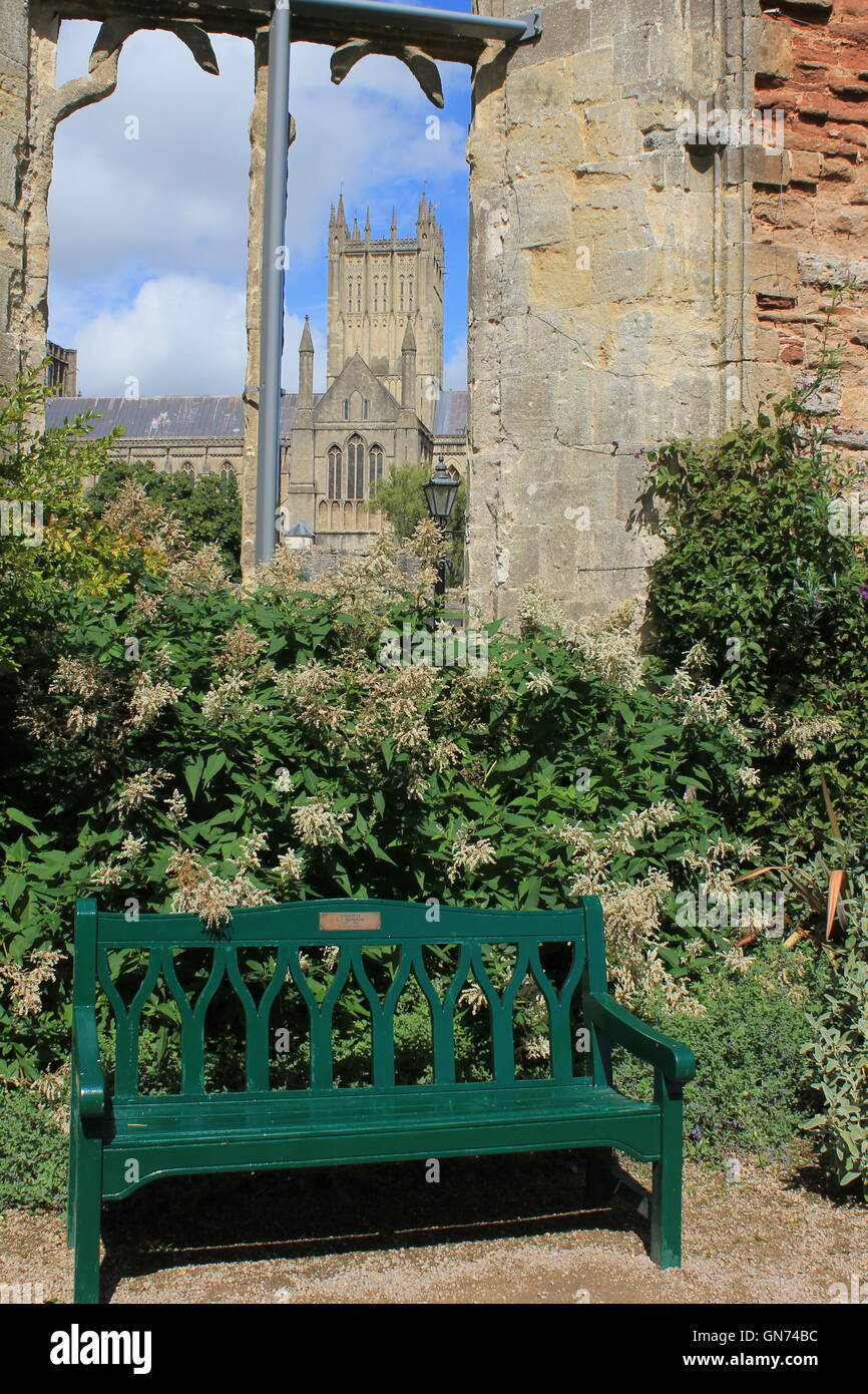 Grüne Bank und Sommer blühen Grenze mit Wells Cathedral betrachtet durch ein zerstörtes Fenster im Schlossgarten des Bischofs, Brunnen Stockfoto
