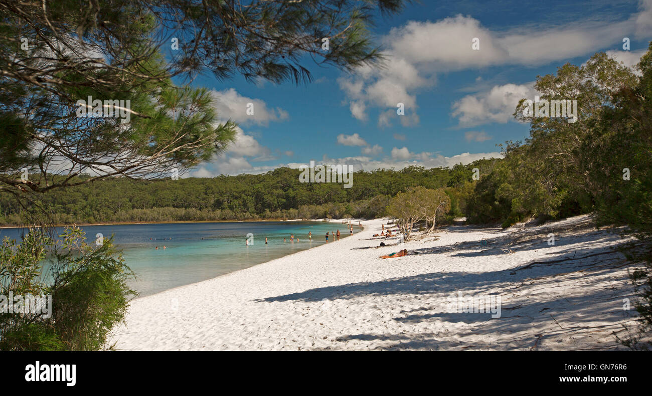 Lake Mackenzie mit Touristen am weißen Sandstrand von türkisfarbenem Wasser gesäumt von Wäldern unter blauem Himmel auf Fraser Island liegen Stockfoto